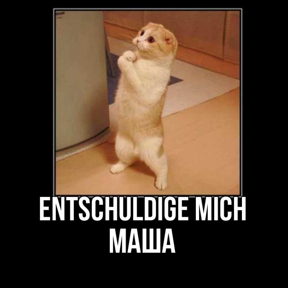 Открытка на каждый день с именем, Маша Entschuldige mich открытка с милым несчастным котиком просящим прощения Прикольная открытка с пожеланием онлайн скачать бесплатно 
