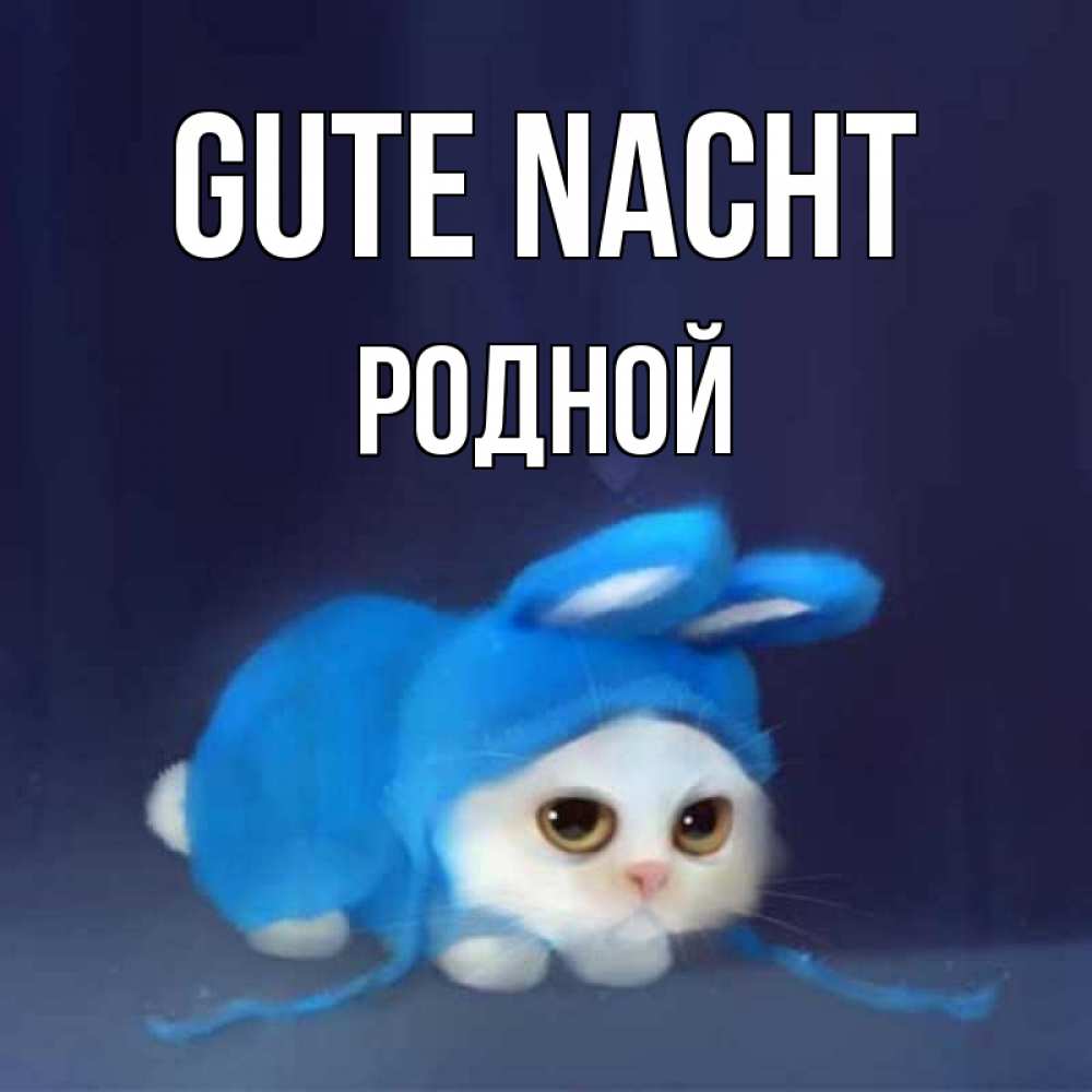 Открытка на каждый день с именем, Родной Gute Nacht кот в голубом костюме кролика с ушками Прикольная открытка с пожеланием онлайн скачать бесплатно 