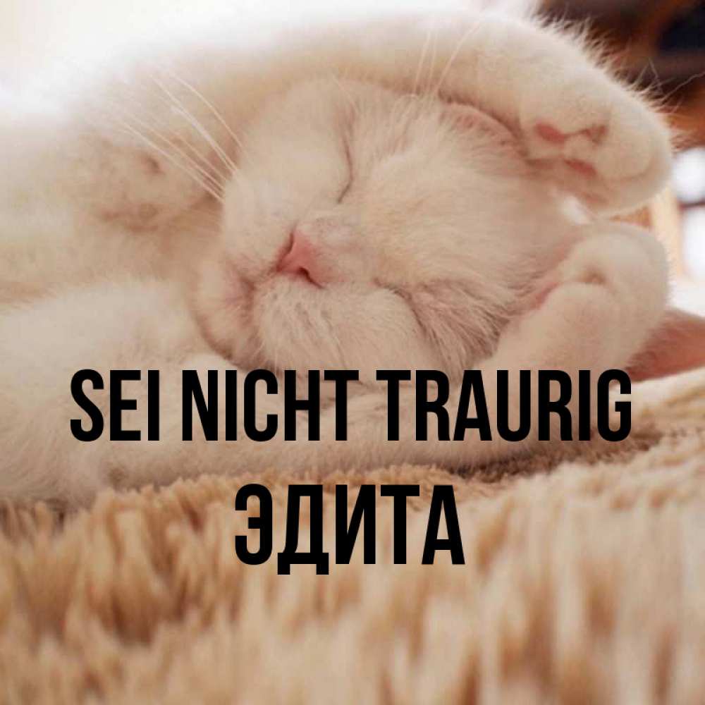 Открытка на каждый день с именем, Эдита Sei nicht traurig Котенок спит Прикольная открытка с пожеланием онлайн скачать бесплатно 