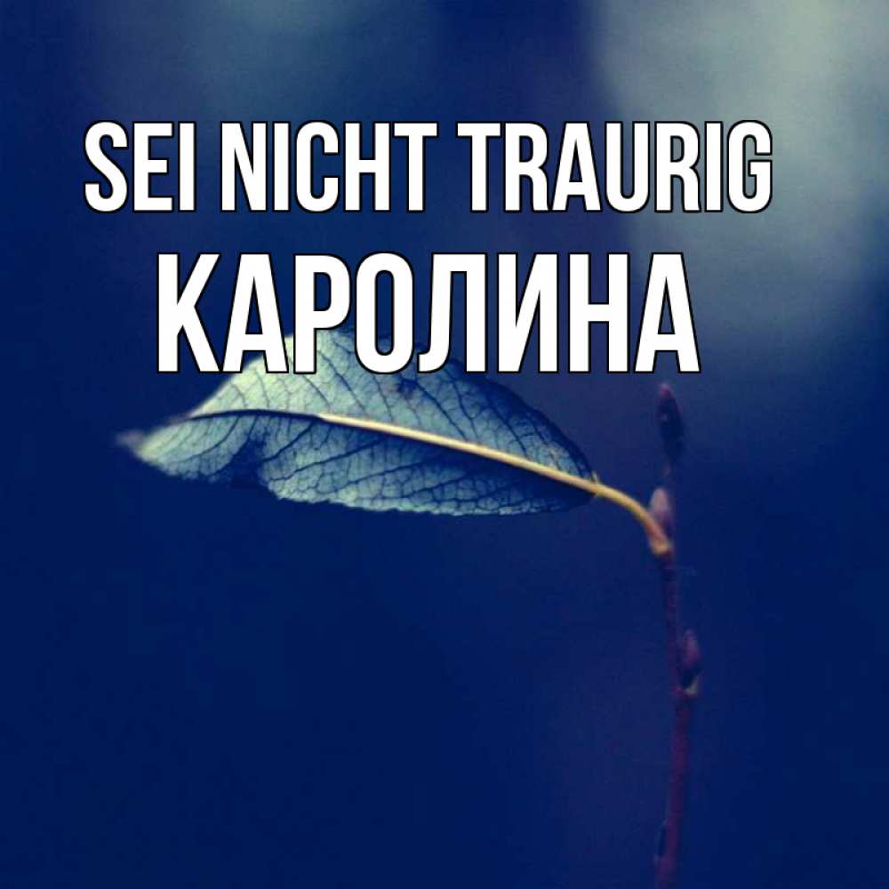 Открытка на каждый день с именем, Каролина Sei nicht traurig растение Прикольная открытка с пожеланием онлайн скачать бесплатно 