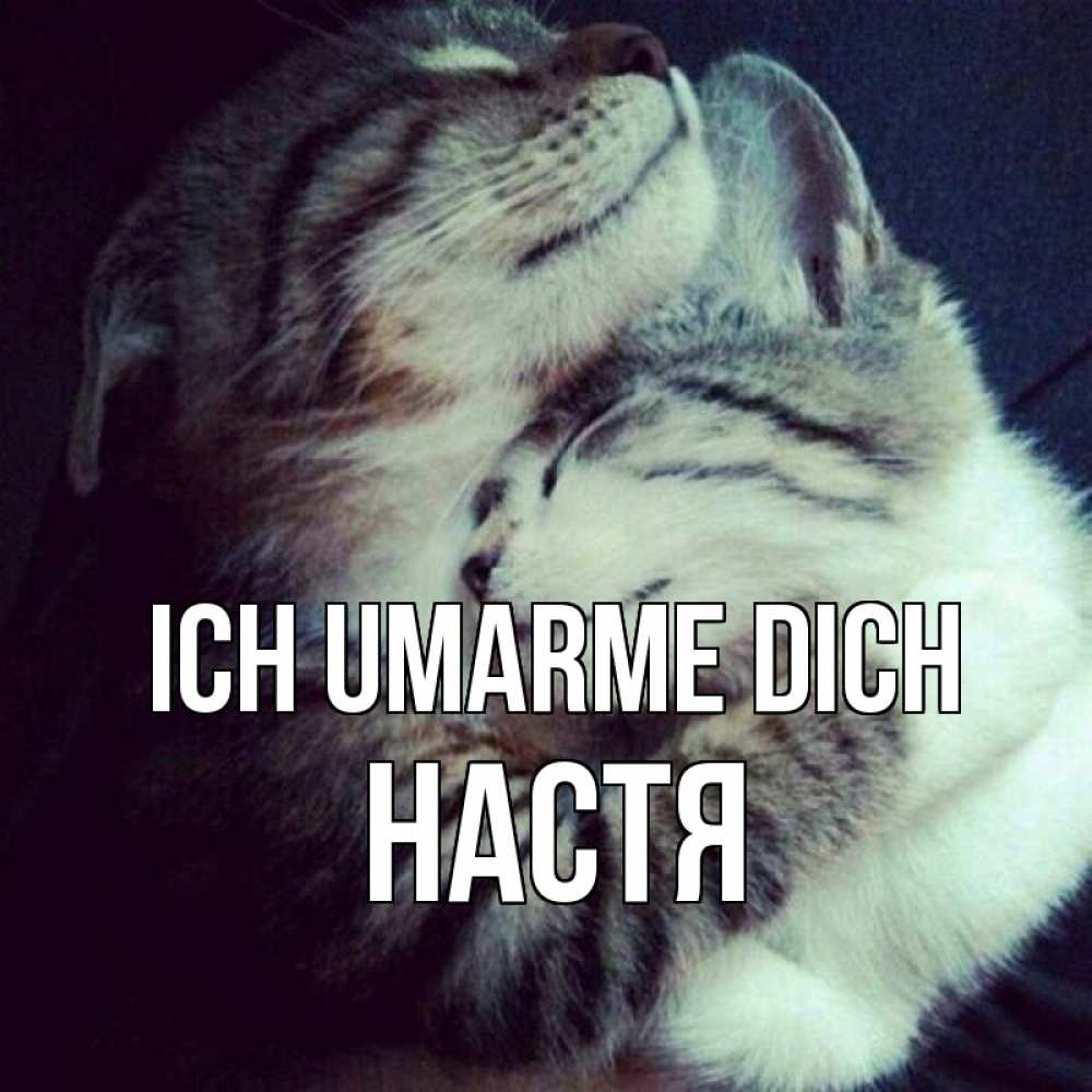 Открытка на каждый день с именем, Настя Ich umarme dich полосатики Прикольная открытка с пожеланием онлайн скачать бесплатно 