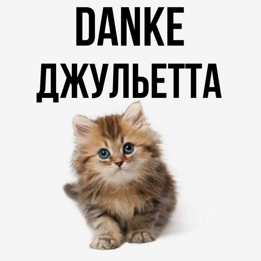 Открытка на каждый день с именем, Джульетта Danke пушистый котик Прикольная открытка с пожеланием онлайн скачать бесплатно 