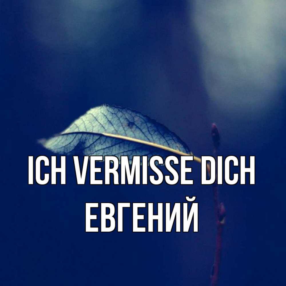 Открытка на каждый день с именем, Евгений Ich vermisse dich одна ветка 1 Прикольная открытка с пожеланием онлайн скачать бесплатно 