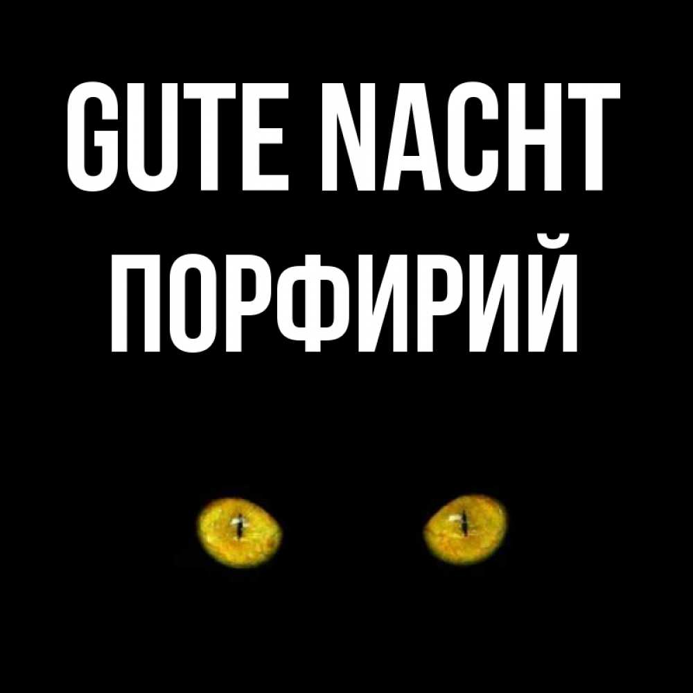 Открытка на каждый день с именем, Порфирий Gute Nacht сладких снов бесстрашный мой дружочек Прикольная открытка с пожеланием онлайн скачать бесплатно 
