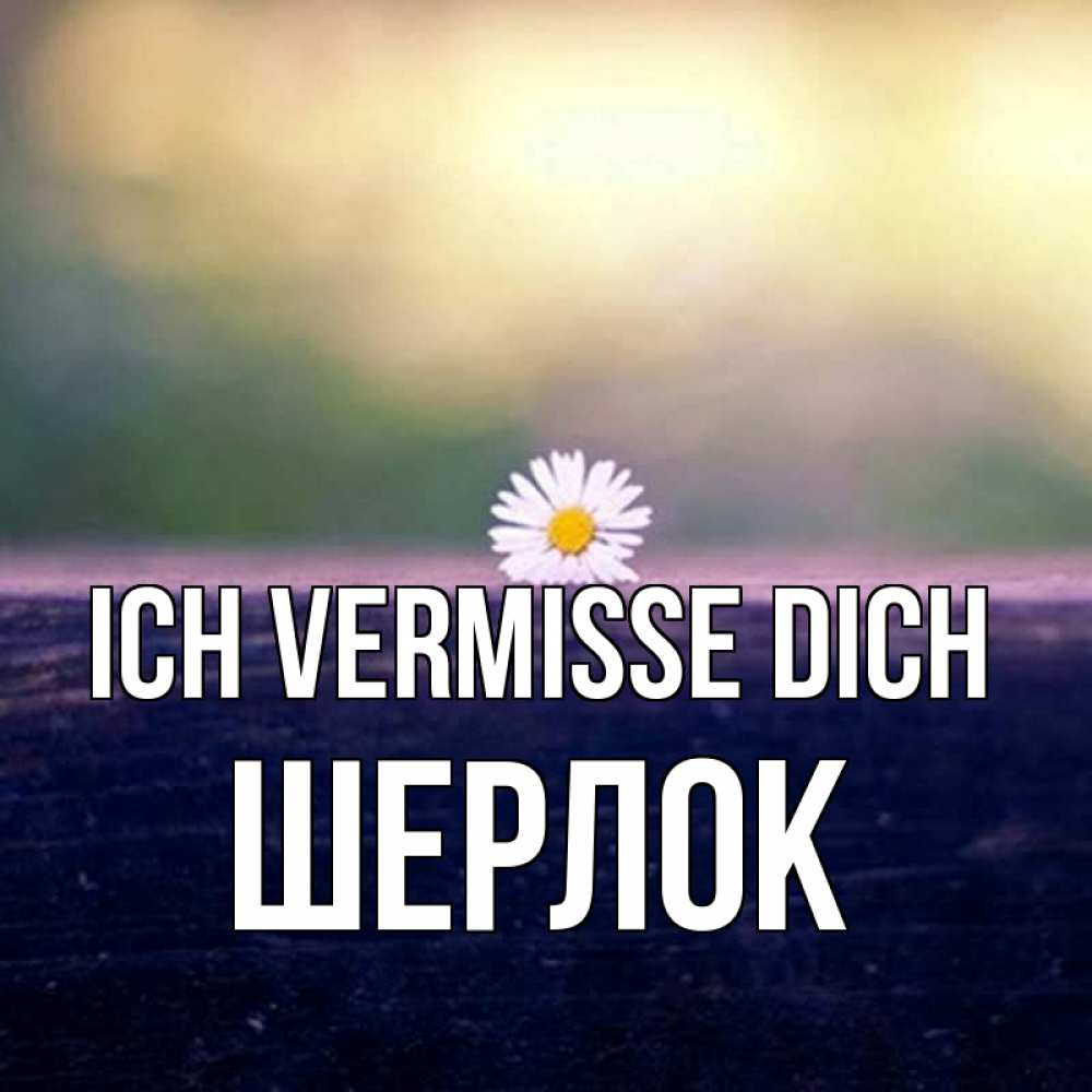 Открытка на каждый день с именем, Шерлок Ich vermisse dich приходи в гости Прикольная открытка с пожеланием онлайн скачать бесплатно 