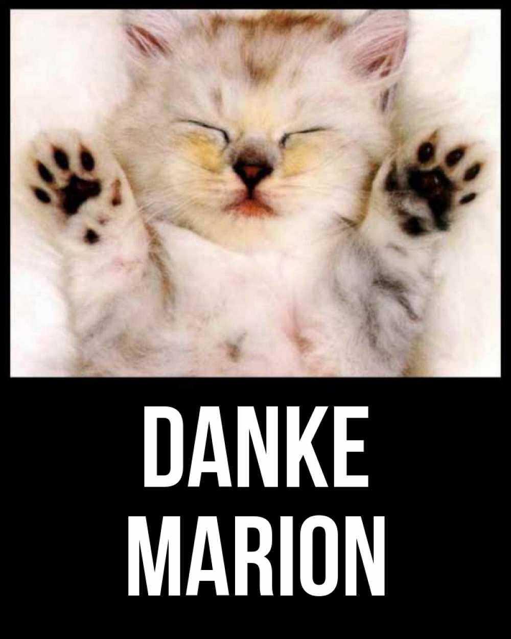 Открытка на каждый день с именем, Marion Danke маленький котенок Прикольная открытка с пожеланием онлайн скачать бесплатно 