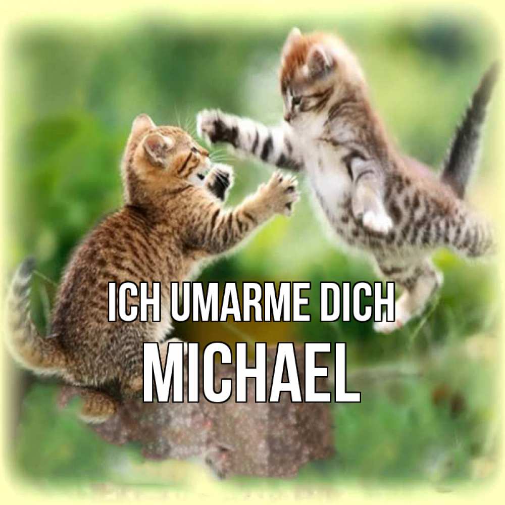 Открытка на каждый день с именем, Michael Ich umarme dich игры котят Прикольная открытка с пожеланием онлайн скачать бесплатно 