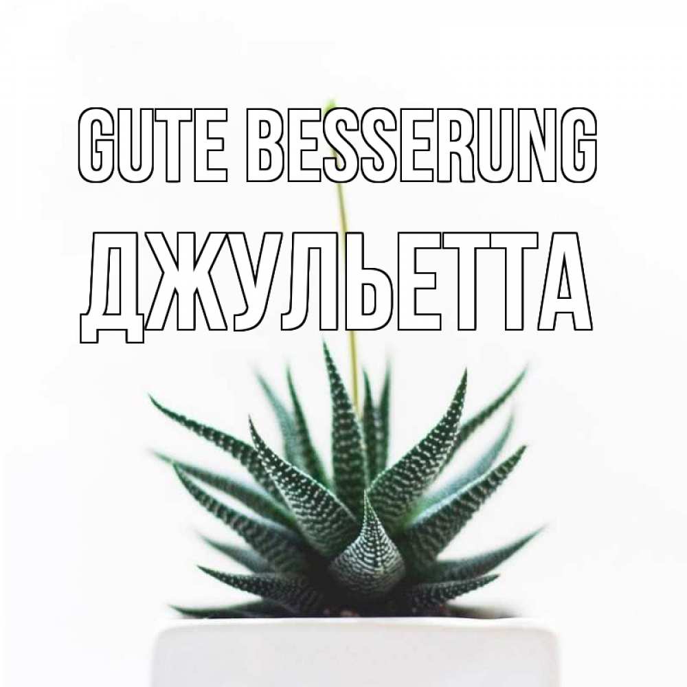 Открытка на каждый день с именем, Джульетта Gute Besserung короче это непонятная колючка Прикольная открытка с пожеланием онлайн скачать бесплатно 