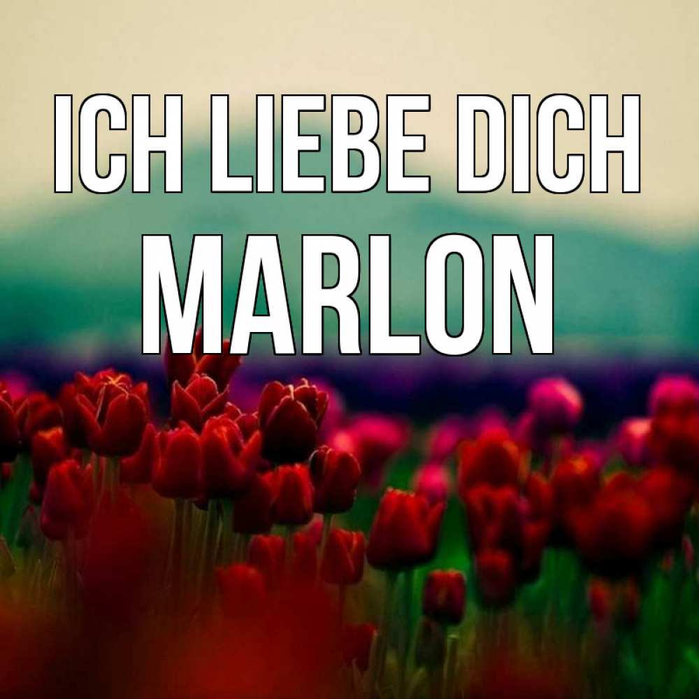 Открытка на каждый день с именем, Marlon Ich liebe dich тюльпаны 4 Прикольная открытка с пожеланием онлайн скачать бесплатно 