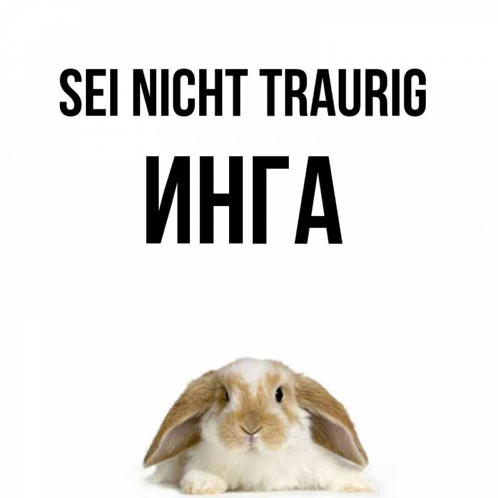 Открытка на каждый день с именем, Инга Sei nicht traurig коричнево белый заяц с большими ушками Прикольная открытка с пожеланием онлайн скачать бесплатно 