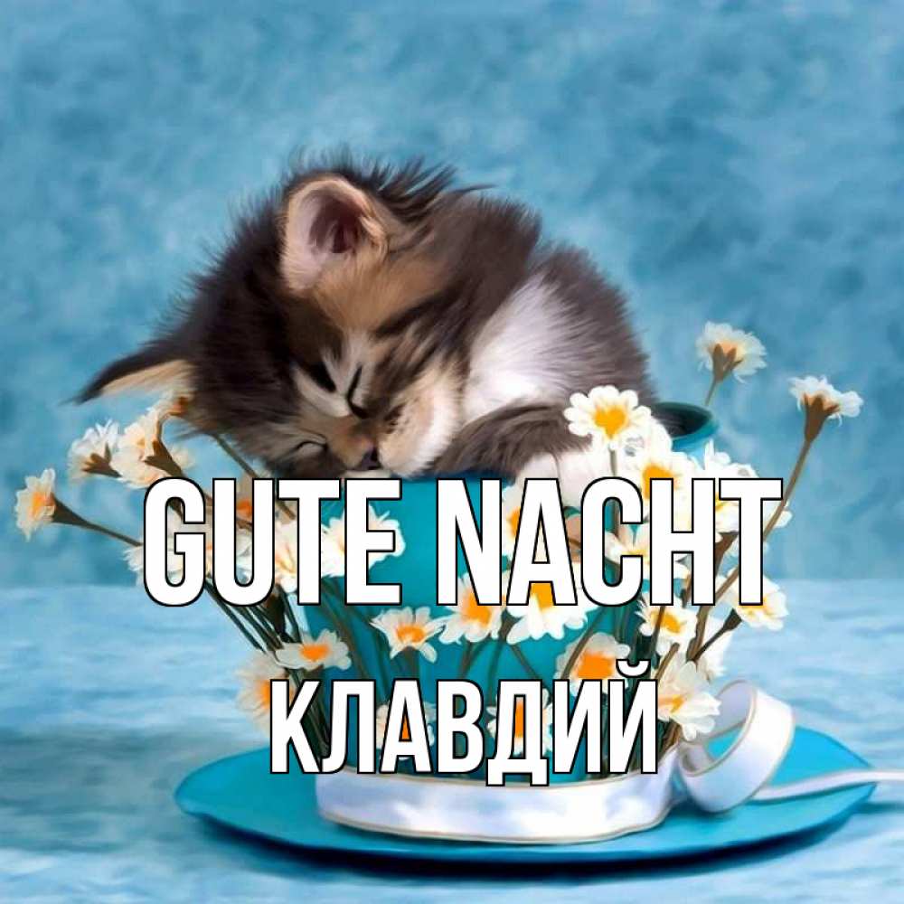 Открытка на каждый день с именем, Клавдий Gute Nacht котенок спит в кружке с блюдцем Прикольная открытка с пожеланием онлайн скачать бесплатно 