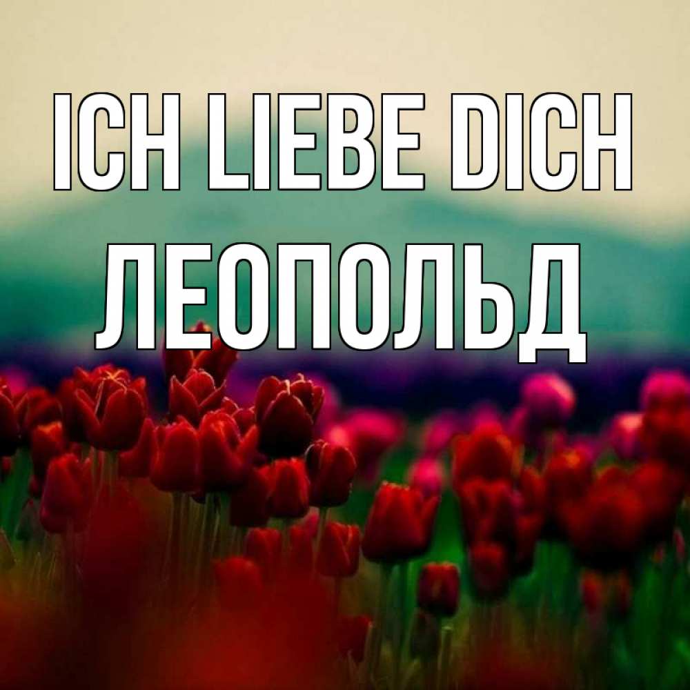 Открытка на каждый день с именем, Леопольд Ich liebe dich тюльпаны 4 Прикольная открытка с пожеланием онлайн скачать бесплатно 