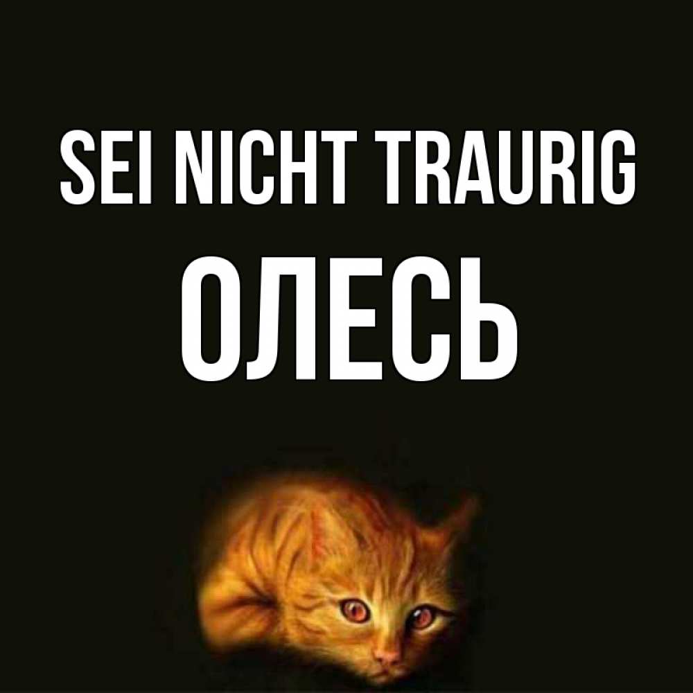 Открытка на каждый день с именем, Олесь Sei nicht traurig лежащий кот в темноте Прикольная открытка с пожеланием онлайн скачать бесплатно 