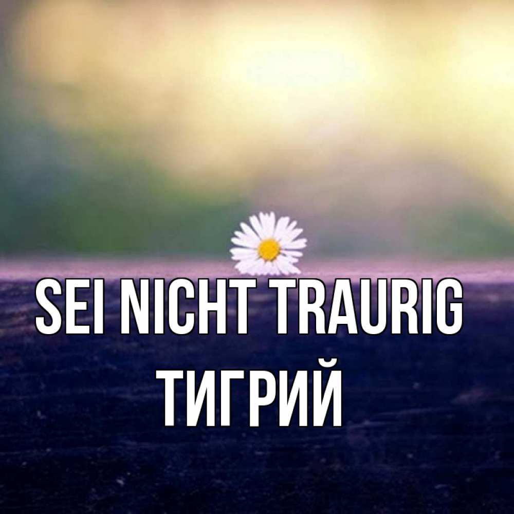 Открытка на каждый день с именем, Тигрий Sei nicht traurig красота Прикольная открытка с пожеланием онлайн скачать бесплатно 