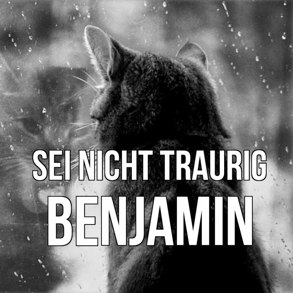 Открытка на каждый день с именем, Benjamin Sei nicht traurig отражение кота 1 Прикольная открытка с пожеланием онлайн скачать бесплатно 