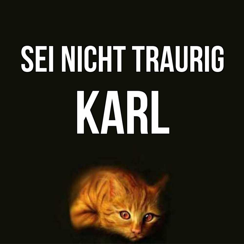 Открытка на каждый день с именем, Karl Sei nicht traurig лежащий кот в темноте Прикольная открытка с пожеланием онлайн скачать бесплатно 