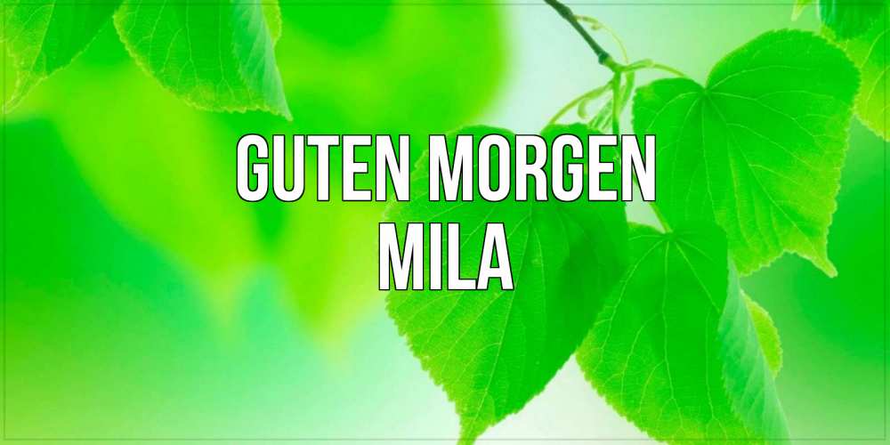 Открытка на каждый день с именем, Mila Guten Morgen доброе утро с березовыми листьями Прикольная открытка с пожеланием онлайн скачать бесплатно 