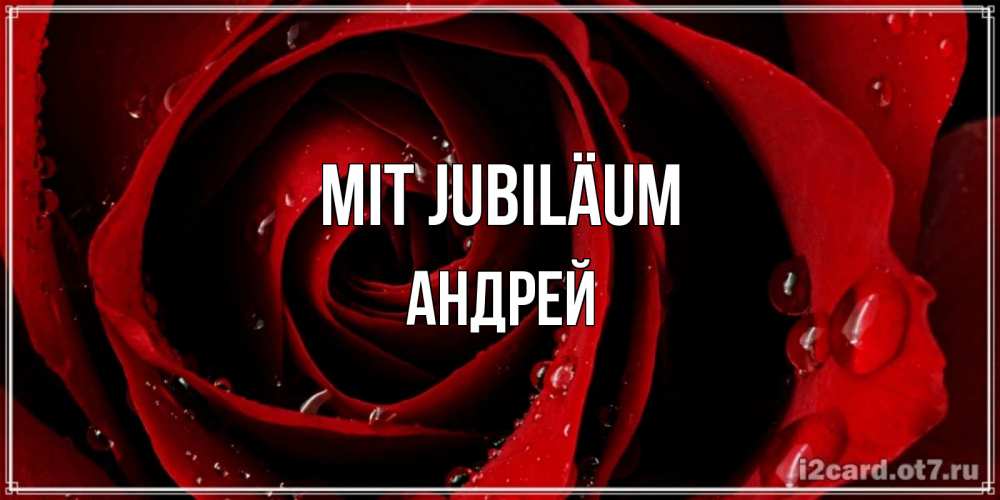 Открытка на каждый день с именем, Андрей Mit Jubiläum крупная бордовая роза Прикольная открытка с пожеланием онлайн скачать бесплатно 