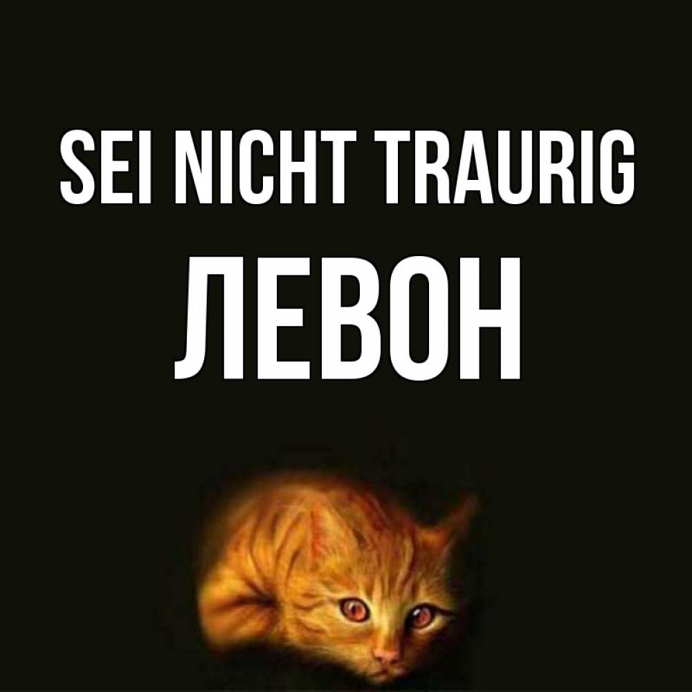 Открытка на каждый день с именем, Левон Sei nicht traurig лежащий кот в темноте Прикольная открытка с пожеланием онлайн скачать бесплатно 