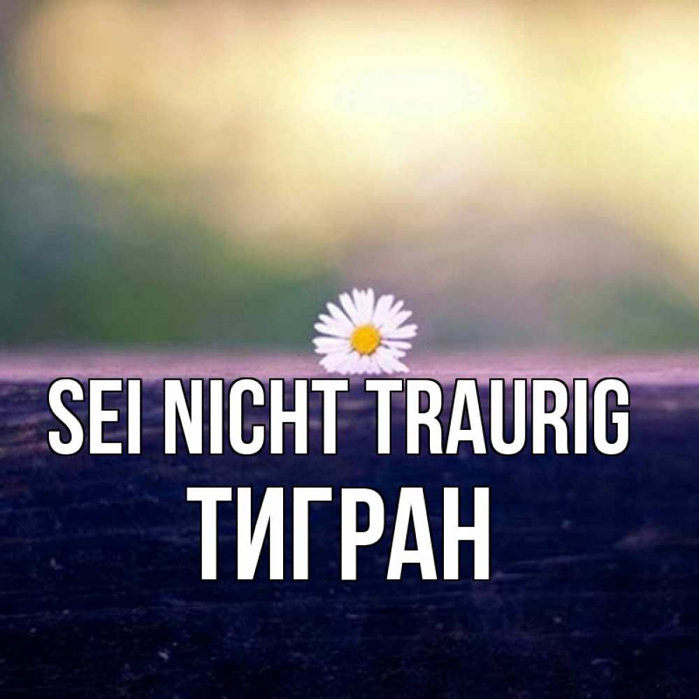 Открытка на каждый день с именем, Тигран Sei nicht traurig красота Прикольная открытка с пожеланием онлайн скачать бесплатно 
