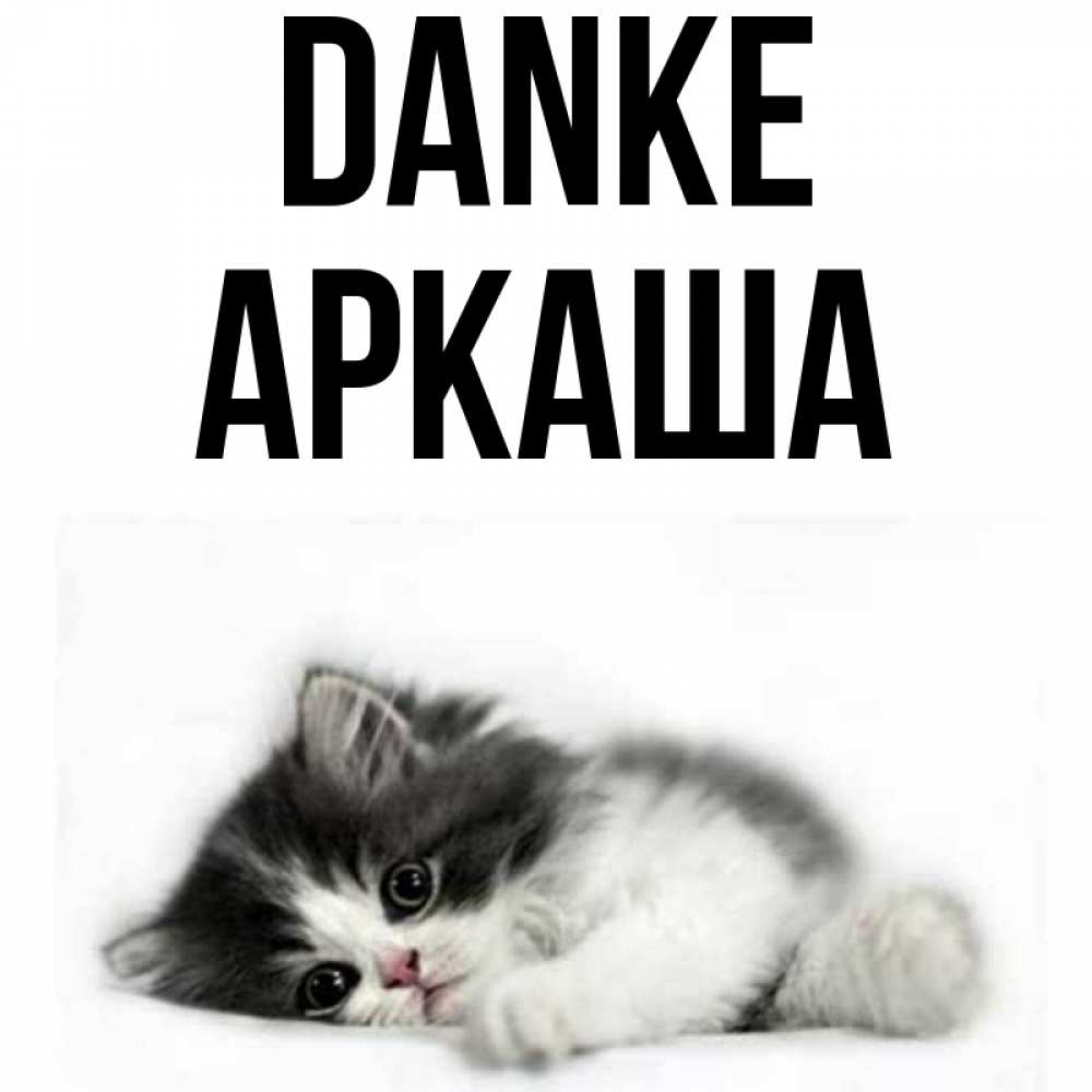 Открытка на каждый день с именем, Аркаша Danke черный и белый кот Прикольная открытка с пожеланием онлайн скачать бесплатно 