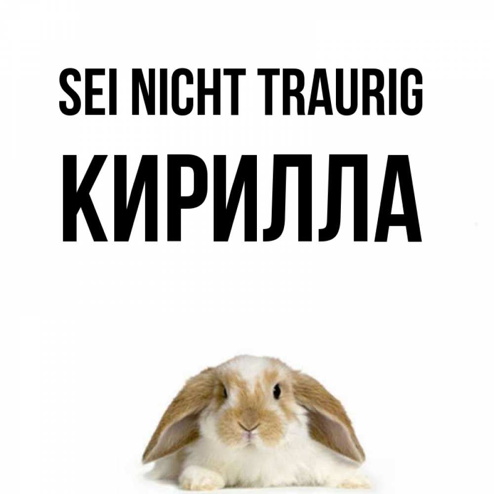 Открытка на каждый день с именем, Кирилла Sei nicht traurig коричнево белый заяц с большими ушками Прикольная открытка с пожеланием онлайн скачать бесплатно 