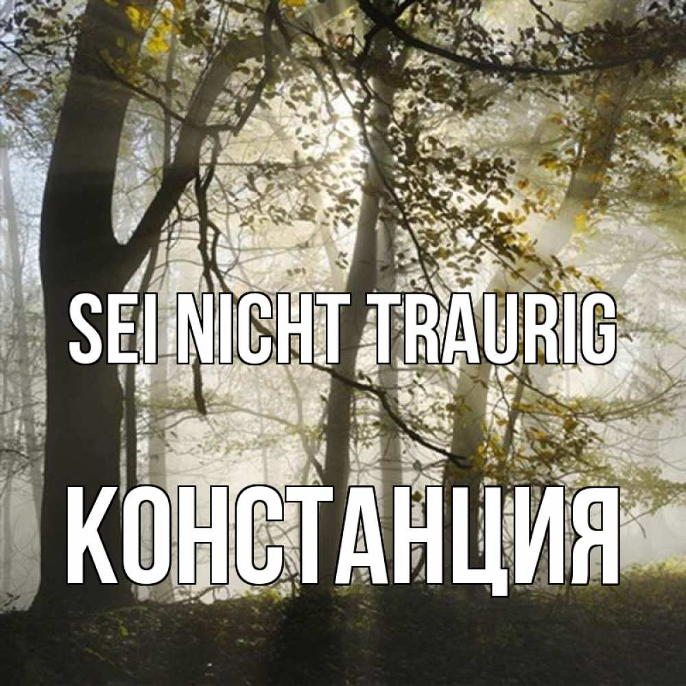 Открытка на каждый день с именем, Констанция Sei nicht traurig лес и свет Прикольная открытка с пожеланием онлайн скачать бесплатно 