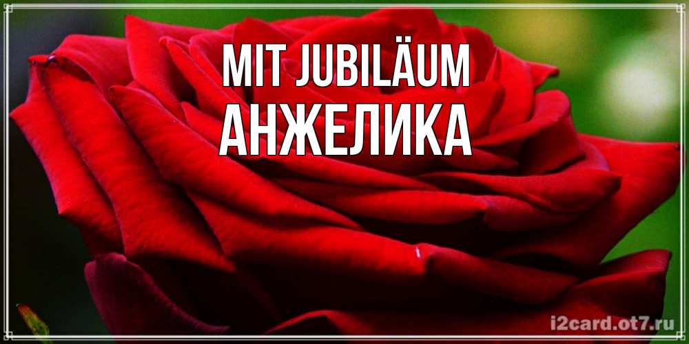 Открытка на каждый день с именем, Анжелика Mit Jubiläum розочка очень красивая Прикольная открытка с пожеланием онлайн скачать бесплатно 