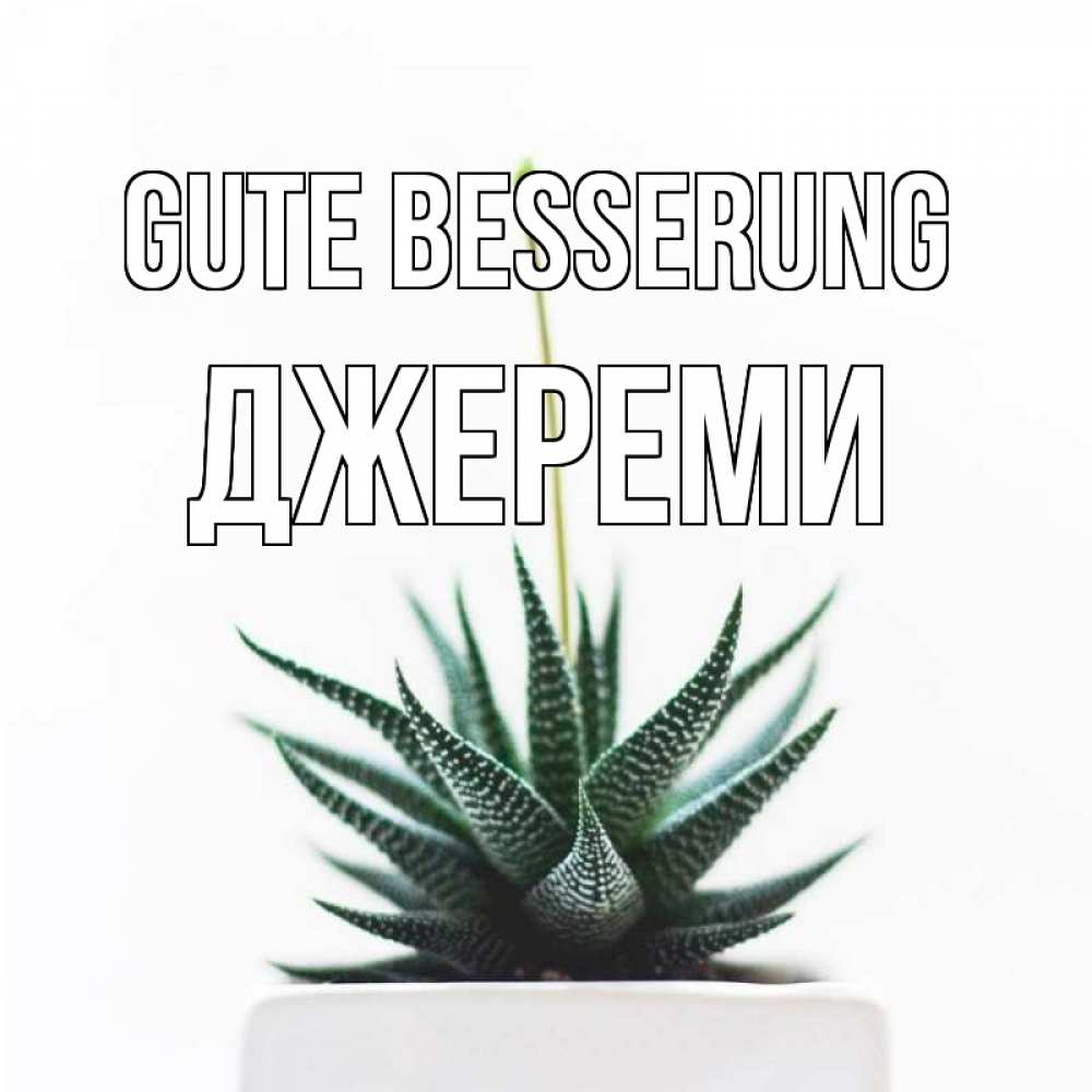 Открытка на каждый день с именем, Джереми Gute Besserung короче это непонятная колючка Прикольная открытка с пожеланием онлайн скачать бесплатно 