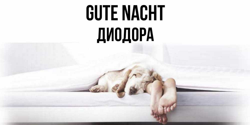 Открытка на каждый день с именем, Диодора Gute Nacht кровать с собакой пожелание сладких снов и спокойной ночи Прикольная открытка с пожеланием онлайн скачать бесплатно 
