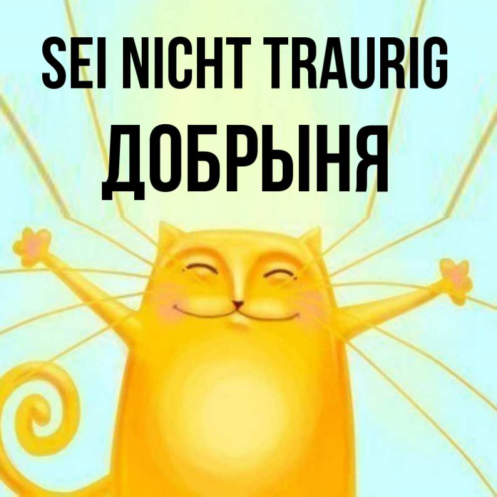 Открытка на каждый день с именем, Добрыня Sei nicht traurig обнимашки усатые Прикольная открытка с пожеланием онлайн скачать бесплатно 