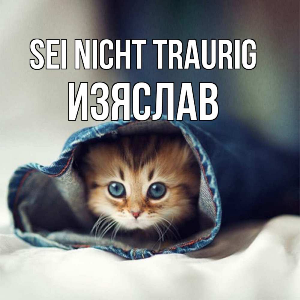 Открытка на каждый день с именем, Изяслав Sei nicht traurig рыжик котик Прикольная открытка с пожеланием онлайн скачать бесплатно 