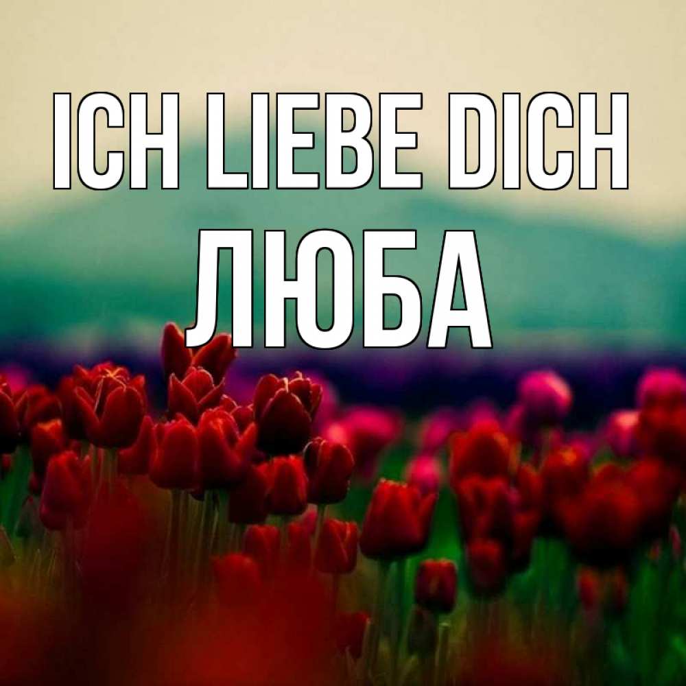 Открытка на каждый день с именем, Люба Ich liebe dich тюльпаны 4 Прикольная открытка с пожеланием онлайн скачать бесплатно 