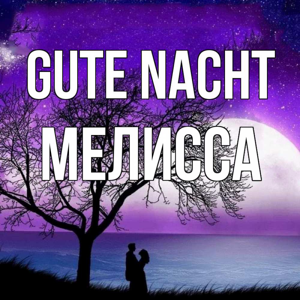 Открытка на каждый день с именем, Мелисса Gute Nacht огромная луна и парочка Прикольная открытка с пожеланием онлайн скачать бесплатно 