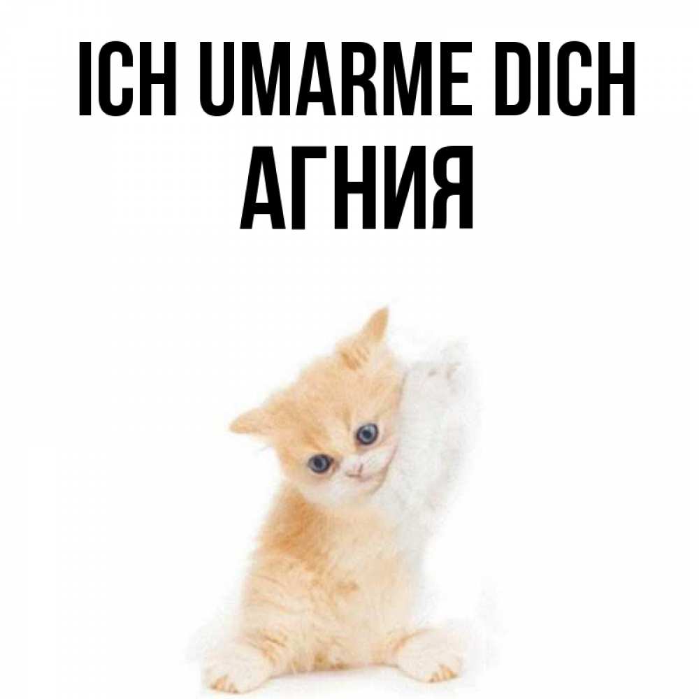 Открытка на каждый день с именем, Агния Ich umarme dich я хочу очень скорее обнимаешек Прикольная открытка с пожеланием онлайн скачать бесплатно 