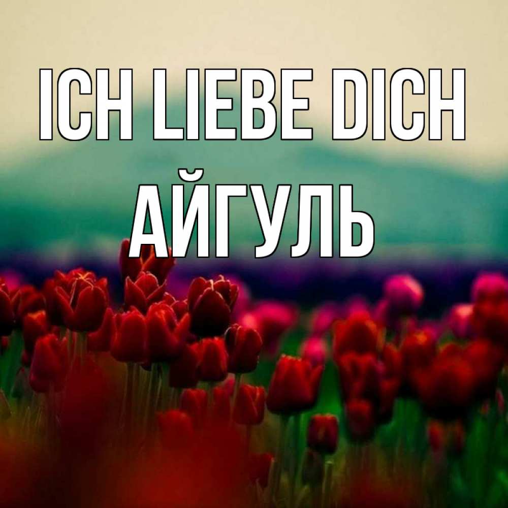 Открытка на каждый день с именем, Айгуль Ich liebe dich тюльпаны 4 Прикольная открытка с пожеланием онлайн скачать бесплатно 