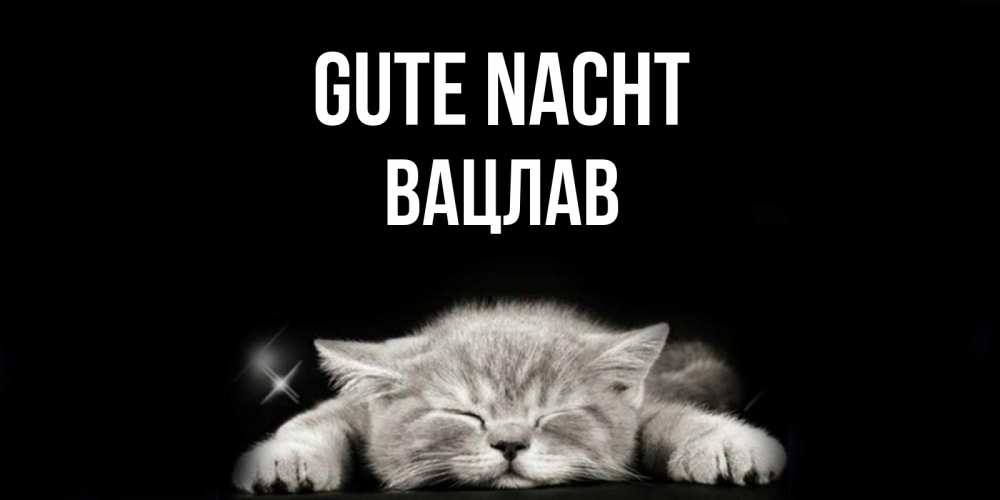 Открытка на каждый день с именем, Вацлав Gute Nacht спящий котик Прикольная открытка с пожеланием онлайн скачать бесплатно 