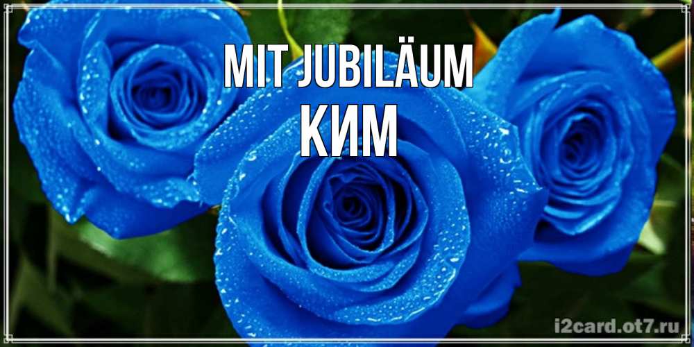 Открытка на каждый день с именем, Ким Mit Jubiläum розы с синим цветом Прикольная открытка с пожеланием онлайн скачать бесплатно 