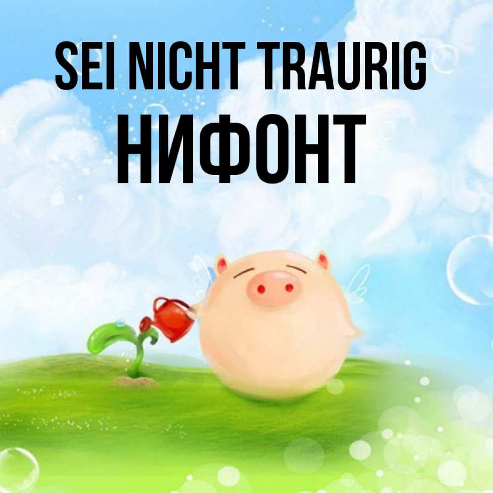 Открытка на каждый день с именем, Нифонт Sei nicht traurig поливает цветок порося Прикольная открытка с пожеланием онлайн скачать бесплатно 