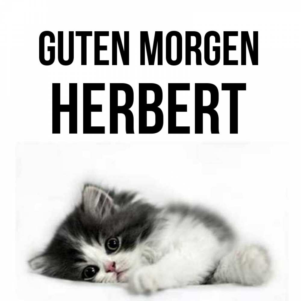 Открытка на каждый день с именем, Herbert Guten Morgen кот лапки Прикольная открытка с пожеланием онлайн скачать бесплатно 