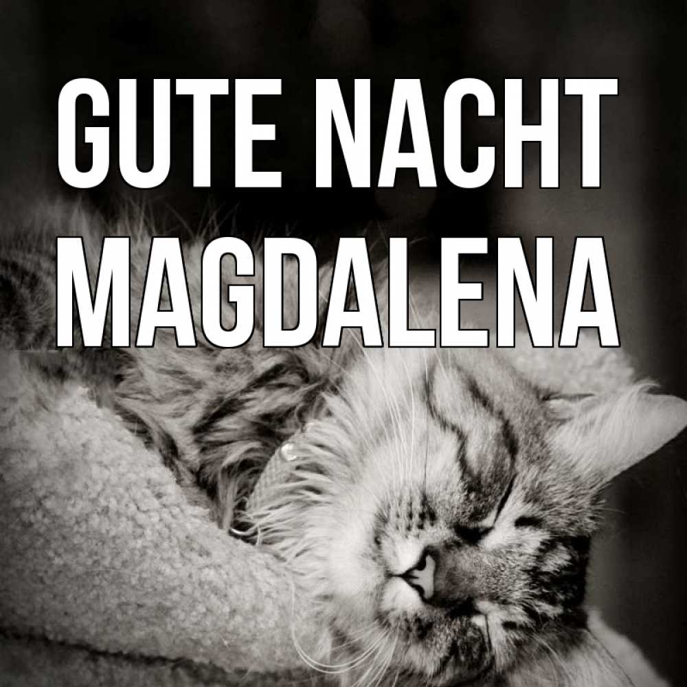 Открытка на каждый день с именем, Magdalena Gute Nacht котярик пушистый Прикольная открытка с пожеланием онлайн скачать бесплатно 