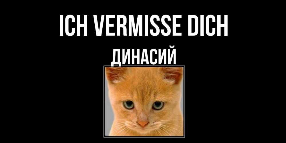Открытка на каждый день с именем, Динасий Ich vermisse dich открытки рыжий котенок скучает по тебе Прикольная открытка с пожеланием онлайн скачать бесплатно 