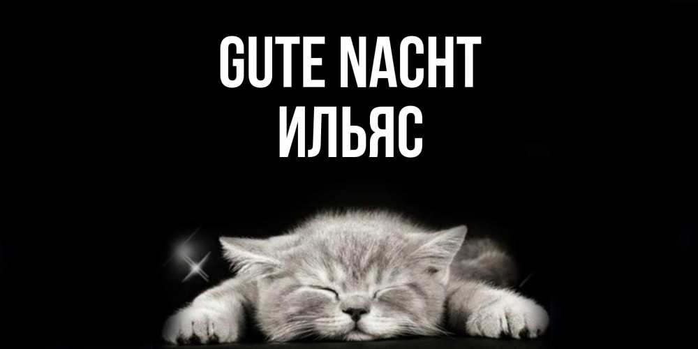 Открытка на каждый день с именем, Ильяс Gute Nacht спящий котик Прикольная открытка с пожеланием онлайн скачать бесплатно 