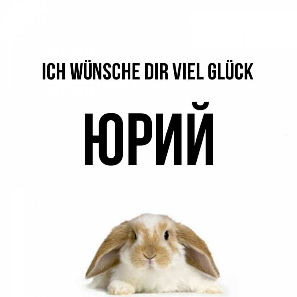 Открытка на каждый день с именем, Юрий Ich wünsche dir viel Glück открытки с произвольным текстом который можно вставить в открытку и создать ее самостоятельно бесплатно онлайн Прикольная открытка с пожеланием онлайн скачать бесплатно 